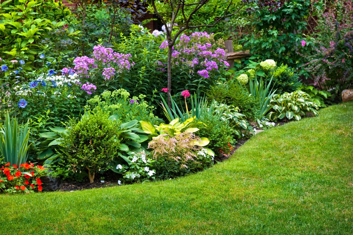 Garden and flowers
Lush landscaped garden with flowerbed and colorful plants
Elena Elisseeva
garden, flowers, landscaped, landscaping, plants, grass, bushes, flowerbed, park, cultivated, green, lush, growth, gardening, lawn, summer, outside, bloom, blooms, blooming, flowering, flora, colorful, colourful, blossoms, grounds, outdoors, nature, natural, beautiful, leisure, plant, bush, growing, horticulture, botany, yard, backyard, flower, front, perennial, perennials