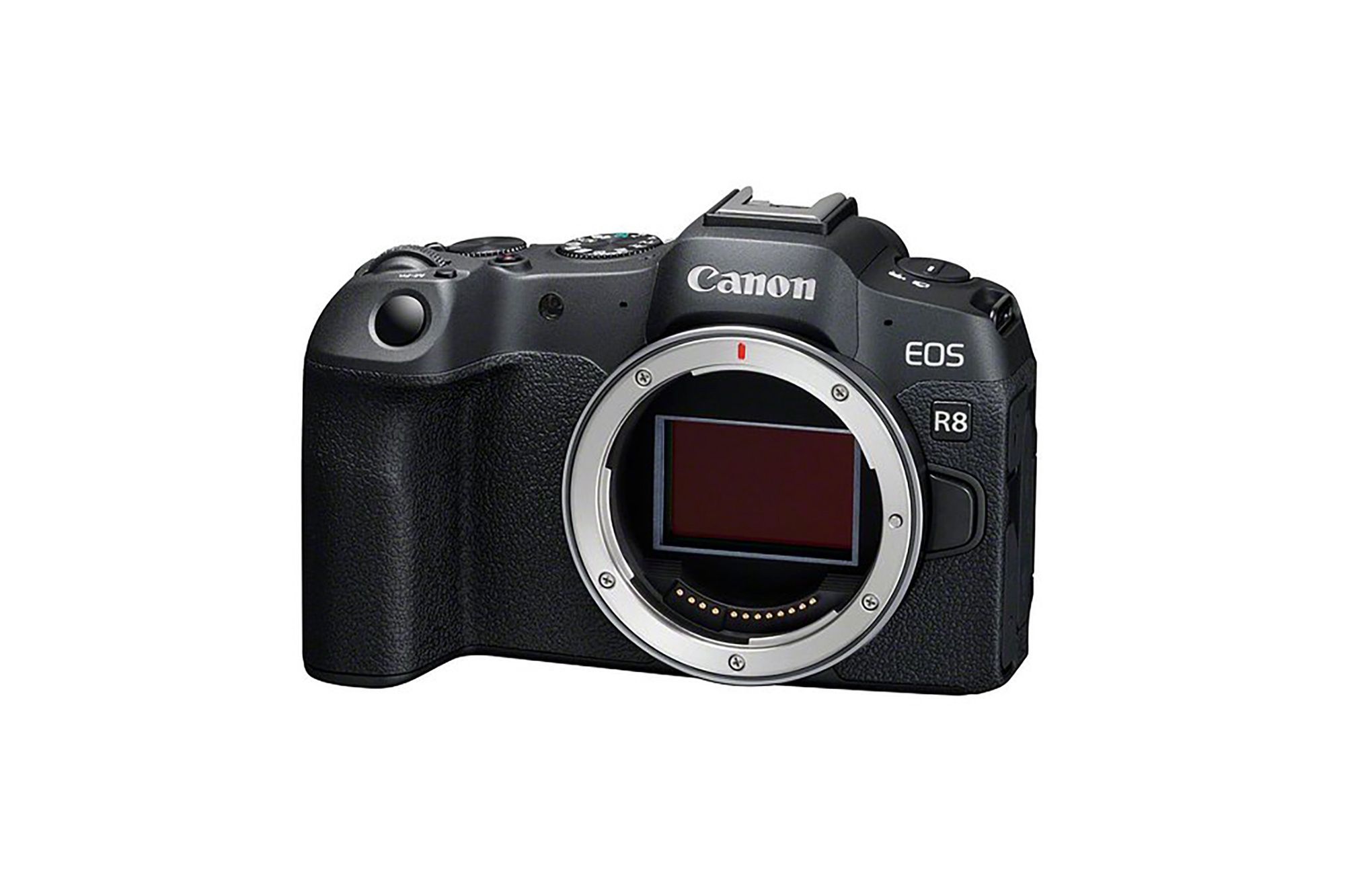 Canon EOS R8