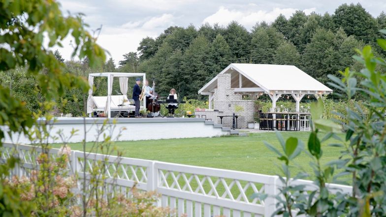 Forgotten Fields Farm Wojciecha Modesta Amaro