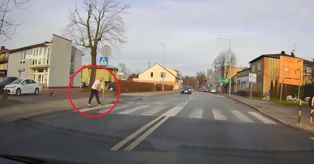 Tego jeszcze nie widzieliście. Zobacz, jak przechodzi przez pasy