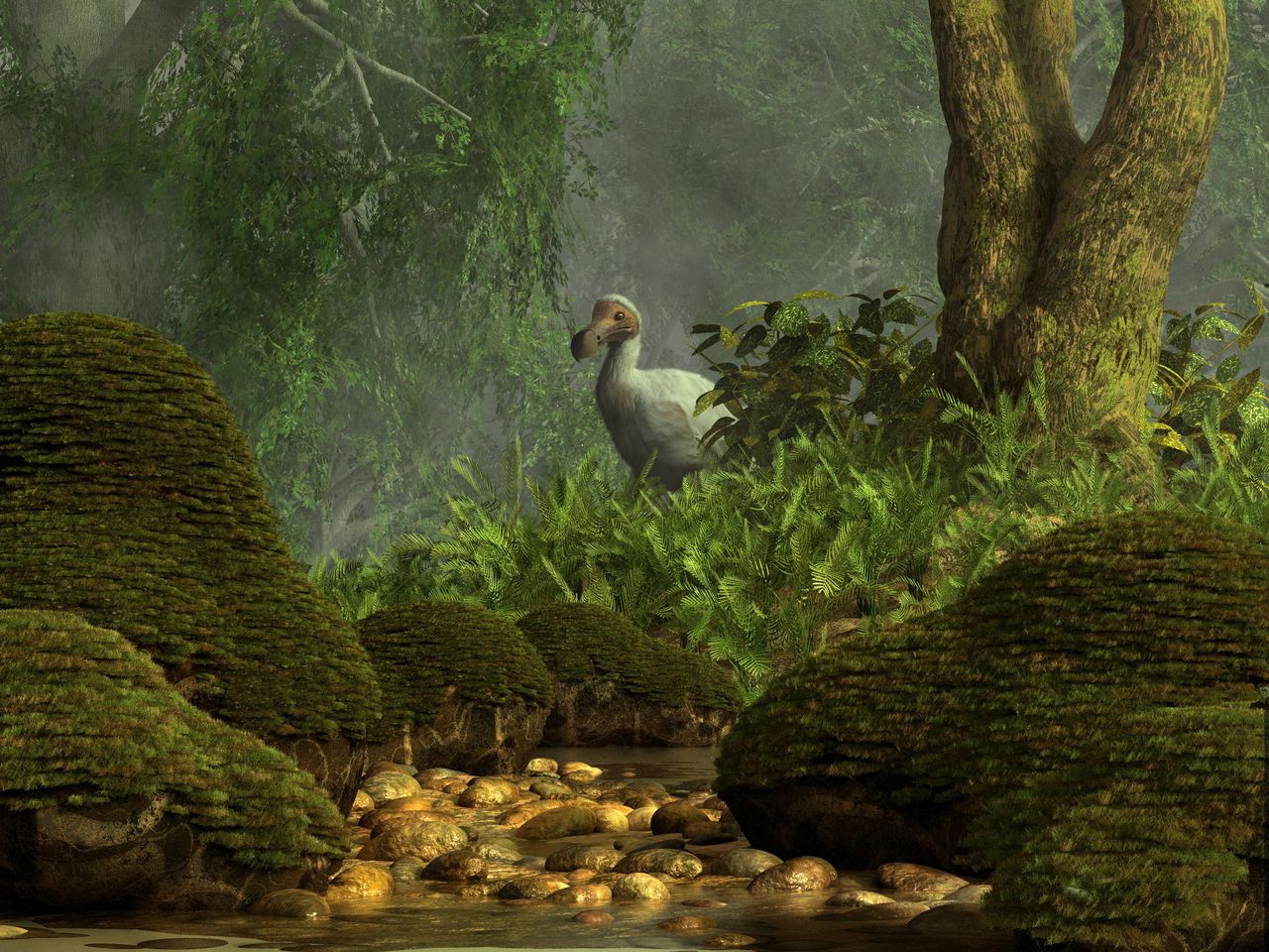 Ptak dodo - zdjęcie ilustracyjne