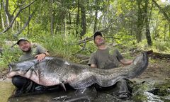 Złapał "potwora" na okonia. Niemcy biją brawo. Polak ujawnia szczegóły
