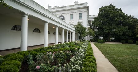 USA. W ogrodzie Białego Domu posadzono różę na cześć św. Jana Pawła II