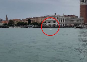 Pojawił się w Wenecji. Turyści się zachwycają, mieszkańcy niepokoją