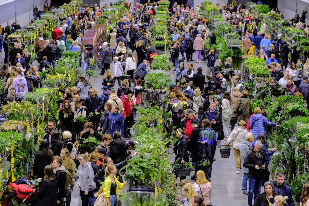 Poznań: Festiwal Roślin 2025 już we wrześniu. Wstęp jest darmowy