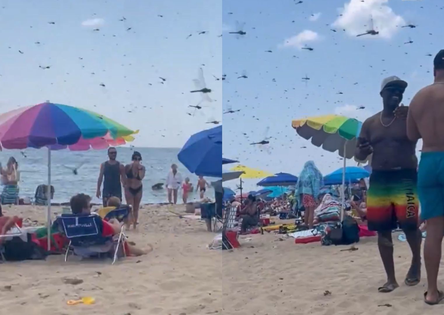 Pojawiły się nagle. Zmasowany atak. Panika na plaży w USA