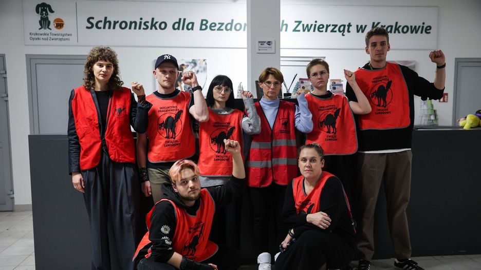 Spór w krakowskim schronisku dla zwierząt. Pracownicy upominają się o lepsze zarobki i poprawę warunków pracy
