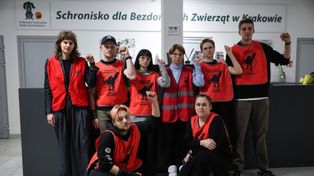 Kraków: Spór w schronisku. Ruszyły mediacje w sprawie płac i warunków