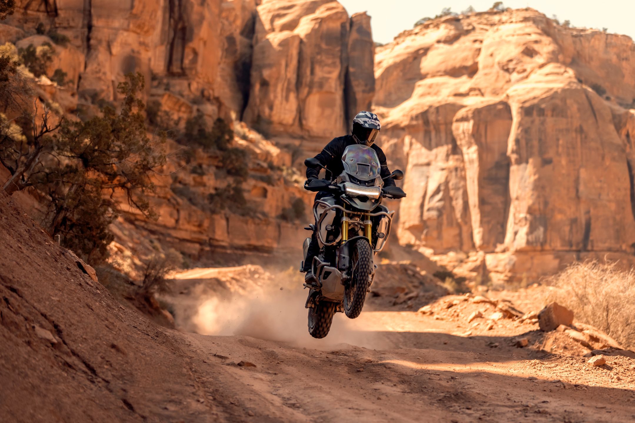 Triumph Tiger 1200 Rally Pro