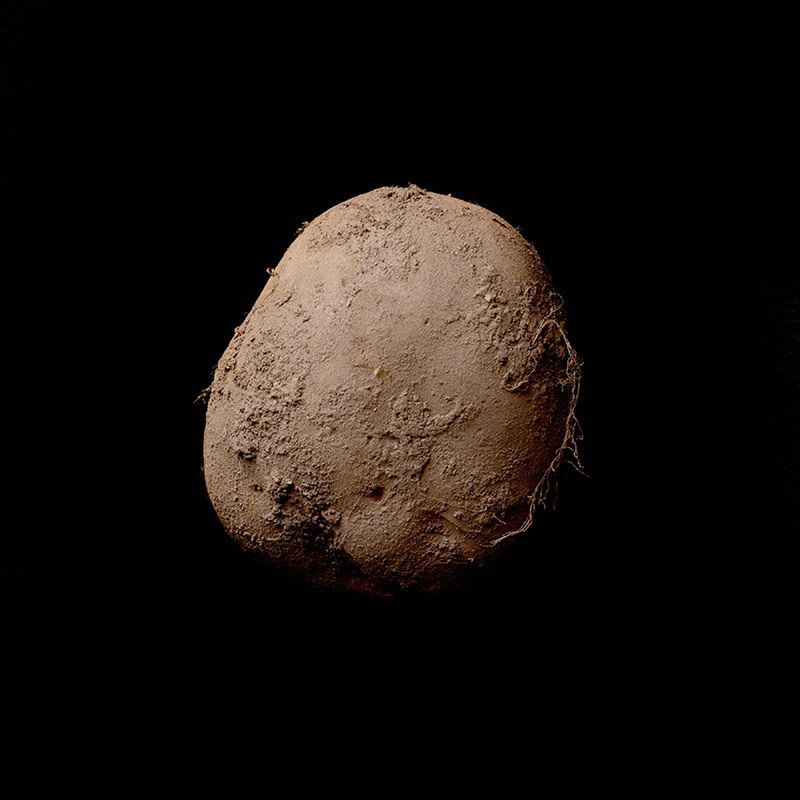 Dlaczego zdjęcie ziemniaka sprzedano za 1 mln euro?