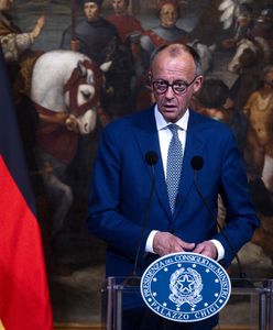 Polskie wojska w Ukrainie? Kanclerz Niemiec zabrał głos