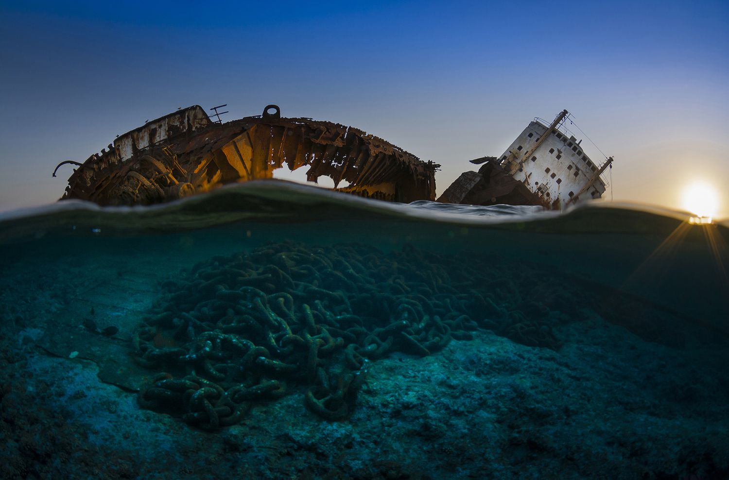 Takiego świata nie znacie. Oto najpiękniejsze zdjęcia podwodne w konkursie Underwater Photographer of the Year 2017 12