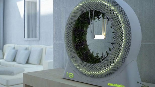 Green Wheel - kosmiczny ogród w domu 1