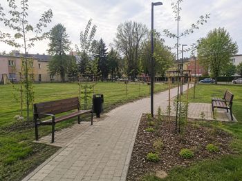 Park Południa coraz bliżej. Nowe zielone miejsce powstanie przy Zbiegniewskiej i Wiejskiej