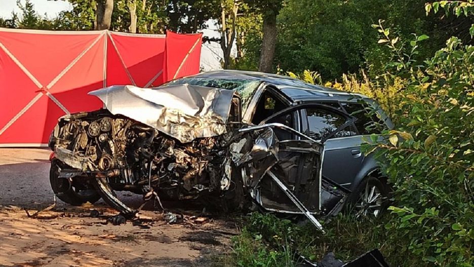 Wałbrzych. Śmiertelny wypadek na drodze. Kierowca uderzył w drzewo