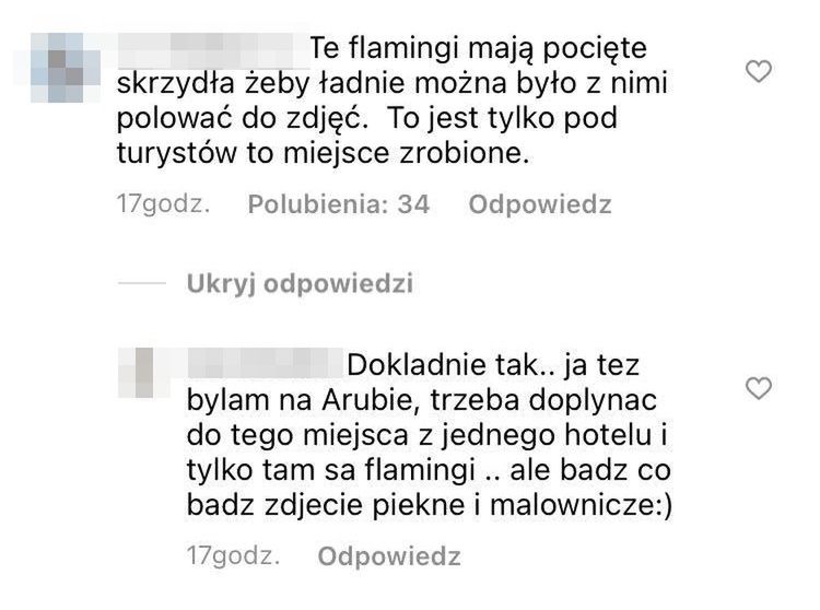 Anna Wendzikowska krytykowana za zdjęcia ze zniewolonymi flamingami