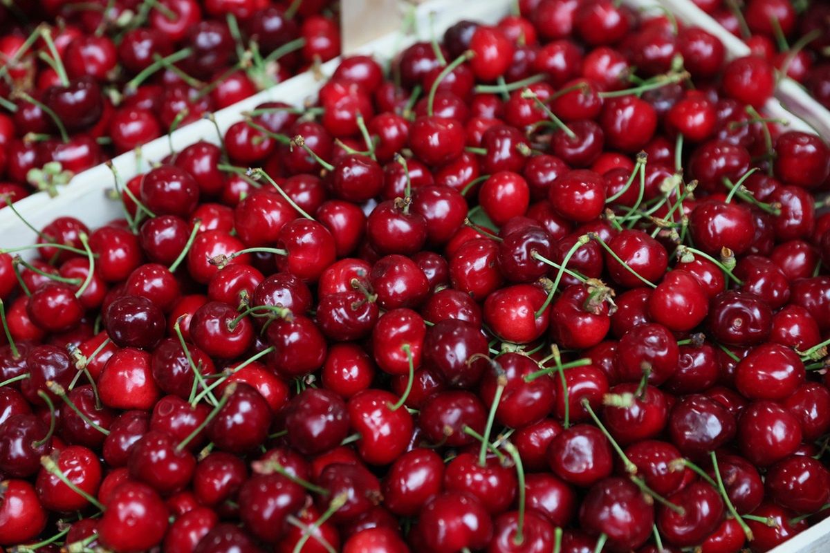 Polskie czereśnie coraz bliżej. Wiemy, ile mogą kosztować