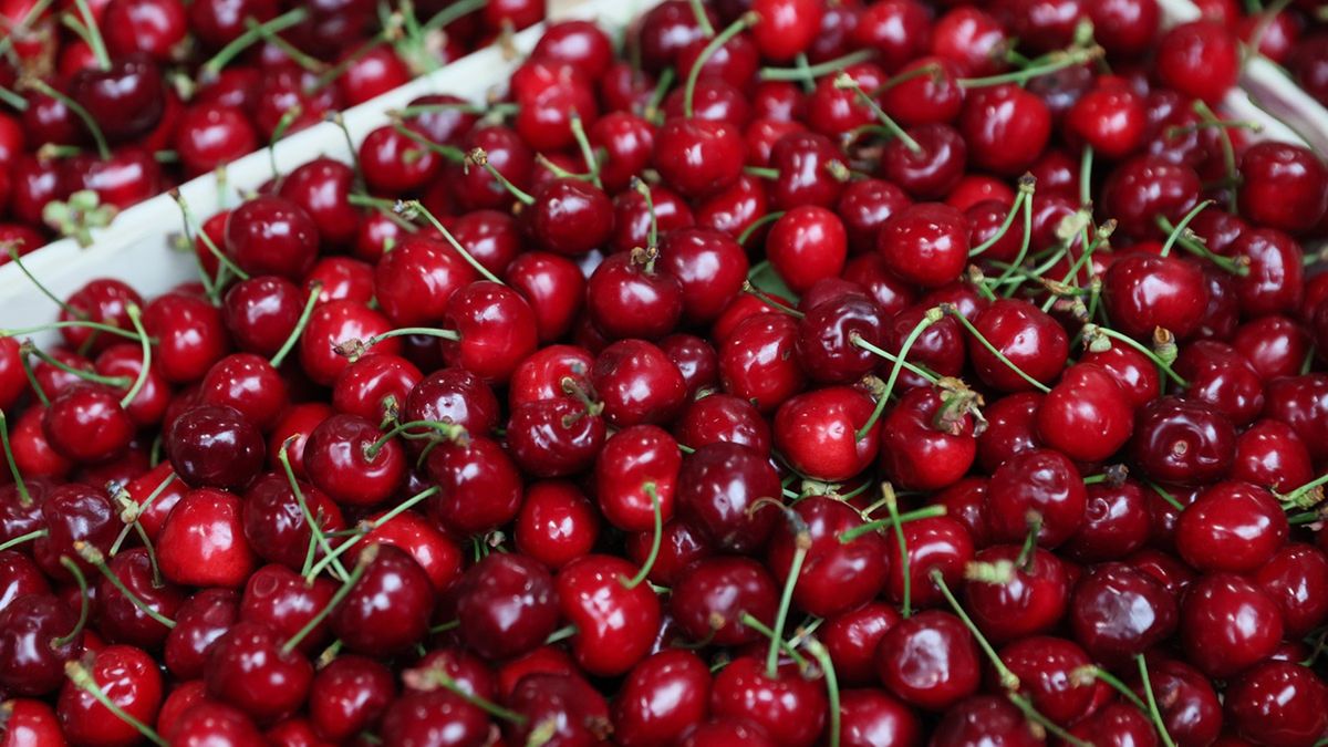 Jakie będą ceny czereśni?