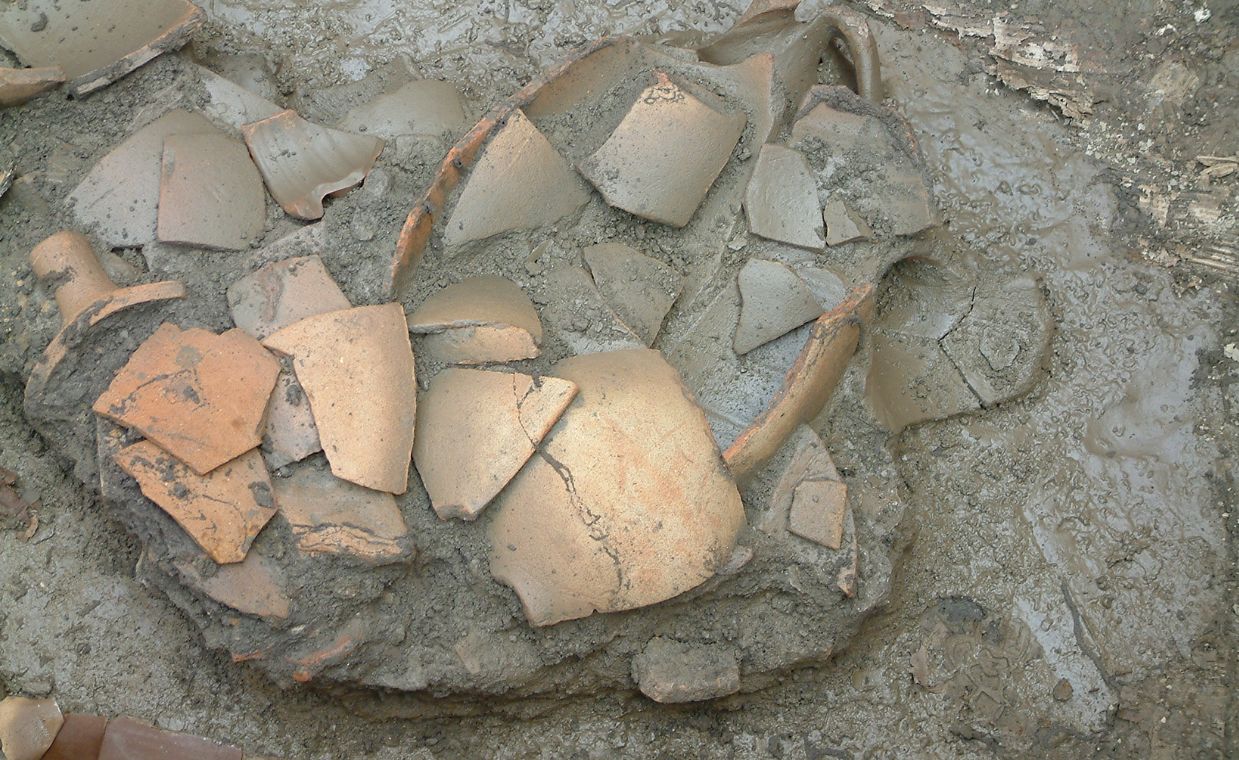 Ziemia Lubuska pełna skarbów. Niezwykle cenne odkrycie archeologiczne w regionie