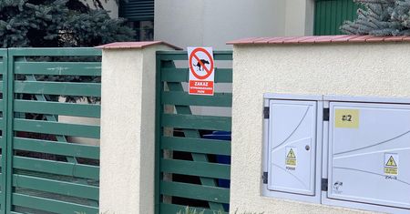 Wrocław. Sprzątanie po psie coraz częstszym problemem. Właścicielom czworonogów grozi mandat