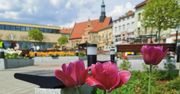 Chrzanów: Mieszkańcy wybrali projekty Budżetu Obywatelskiego 2026