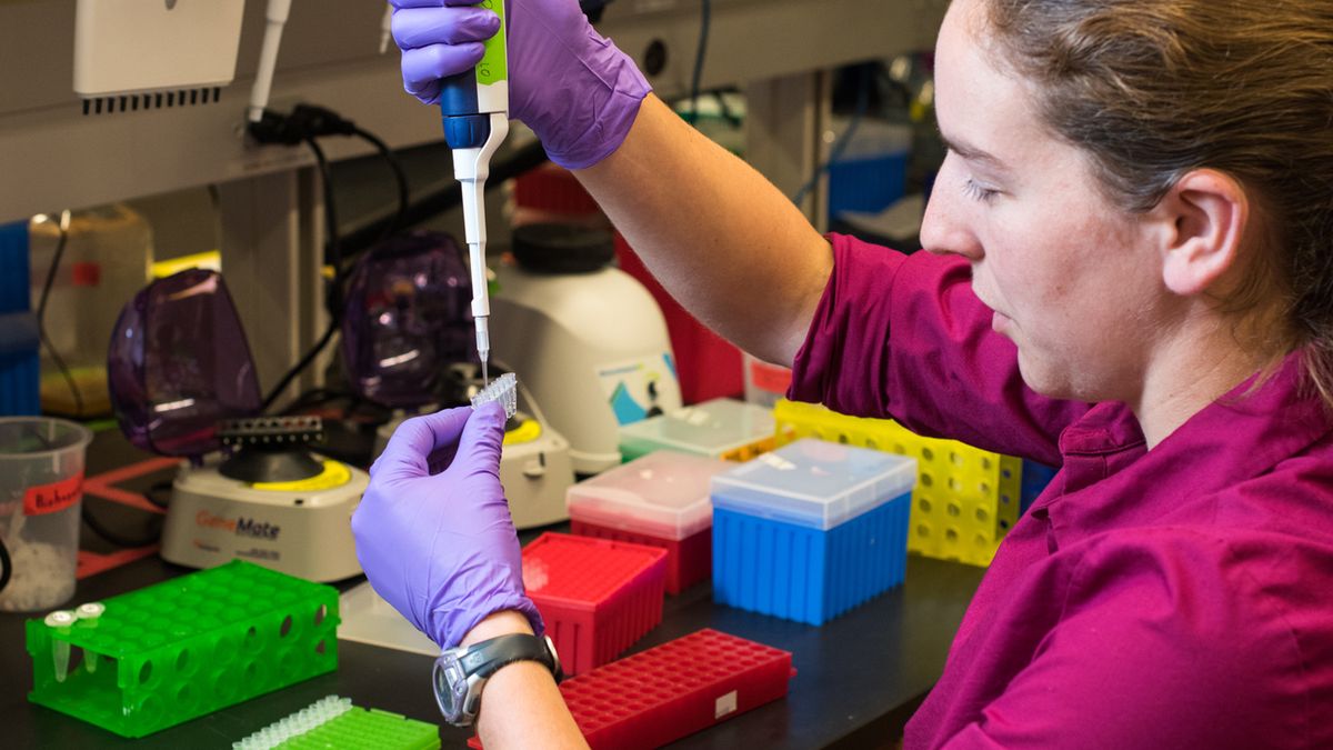 Naukowcy odkryli jak użyć DNA do przechowywania zdjęć 1