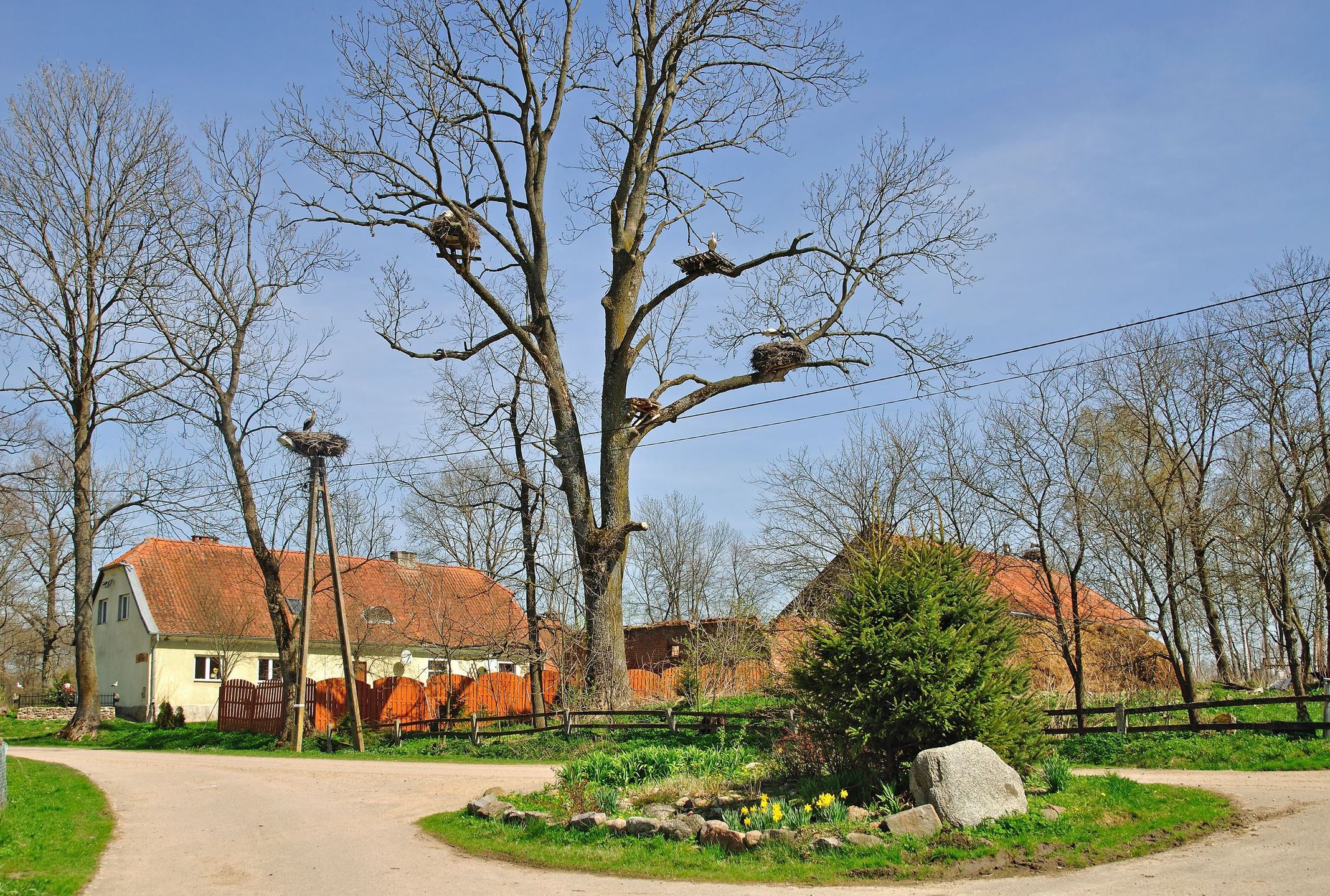 Żywkowo