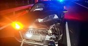 Nocne zderzenie z sarną. Audi poważnie uszkodzone
