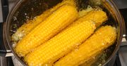 Przez ten prosty błąd gotowana kukurydza stanie się twarda jak kamień. Wystarczy chwila nieuwagi