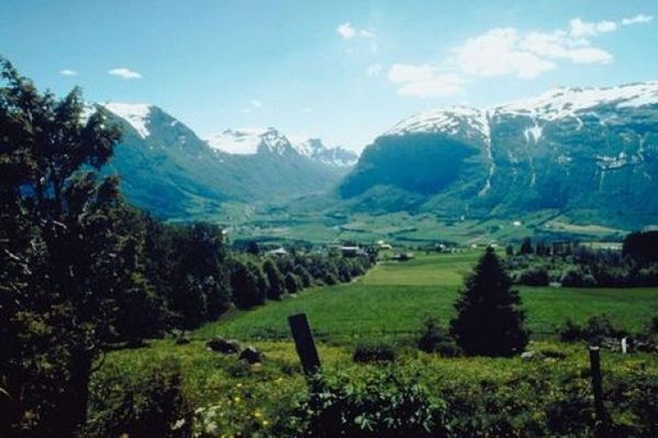 Obraz