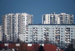 Polacy pokochali te bloki. To się dzieje z wielką płytą