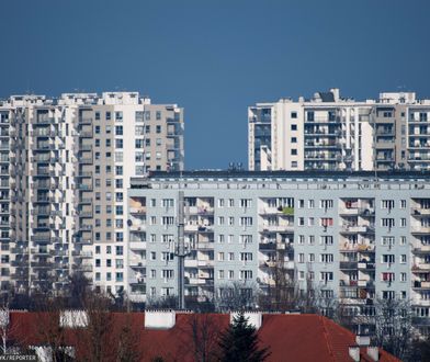 Polacy pokochali te bloki. To się dzieje z wielką płytą