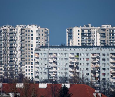 Tego się nie spodziewaliśmy. To się dzieje z wielką płytą