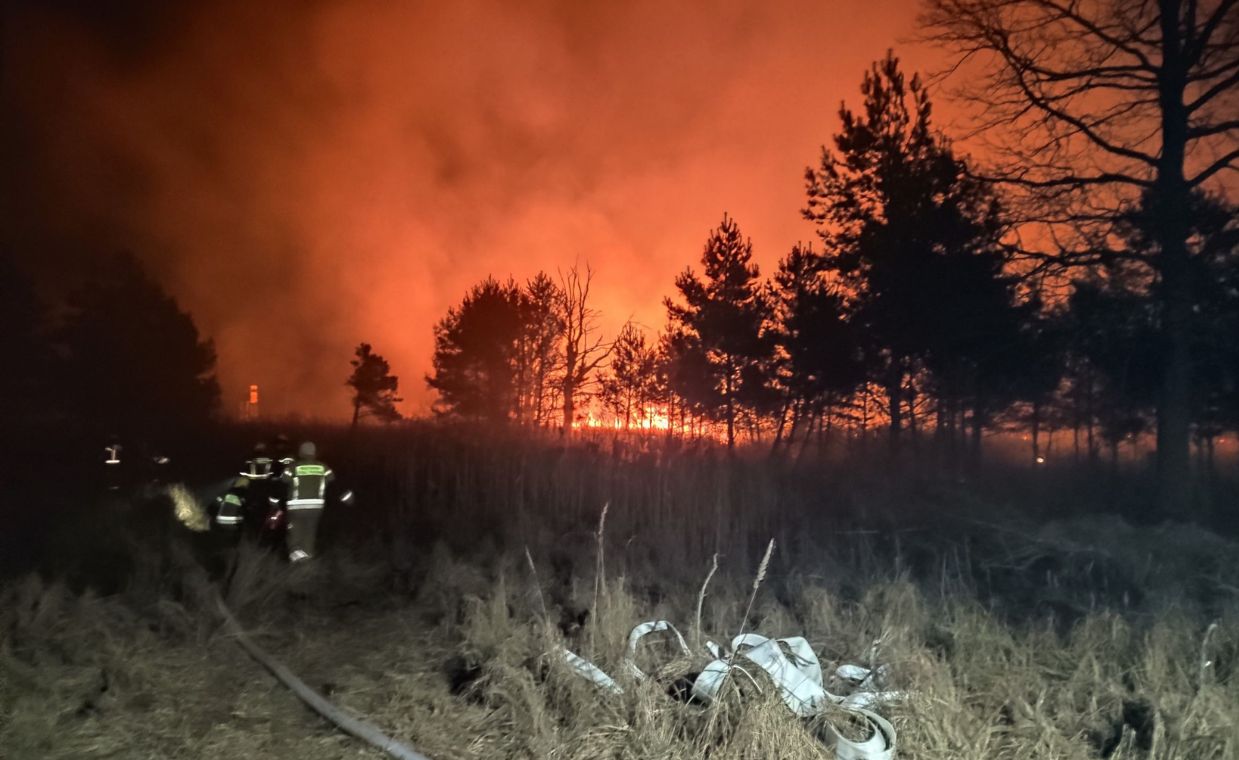 Płoną hektary lasów. Trwa walka z żywiołem, dołączają kolejne jednostki