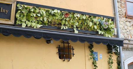 Queen Mama: menu, opinie, godziny otwarcia, rezerwacja