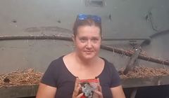 Karolina Baca-Pogorzelska żegna się z "Wprost". "Szef poinformował mnie, że są cięcia kosztów"