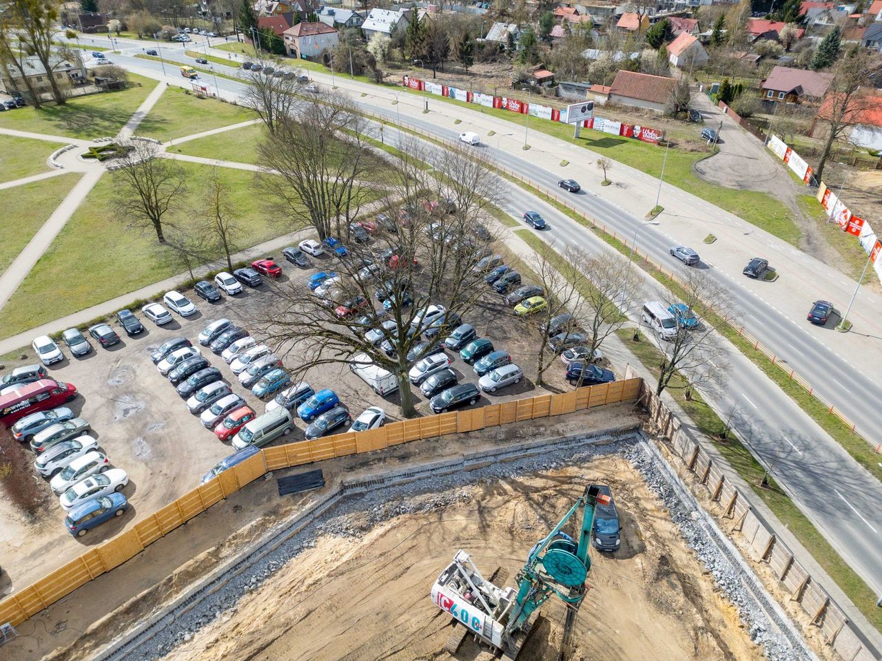 Dąb i budowa bloku przy Młynowej pod lupą prokuratora