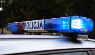 Mustang ściął sygnalizator. Policja szuka kierowcy