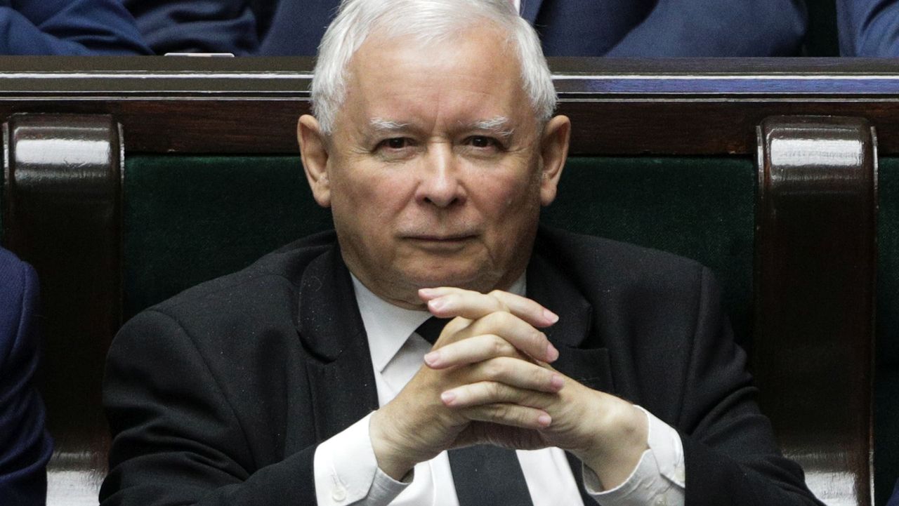 Biały szum w strusim kraju (Opinia)