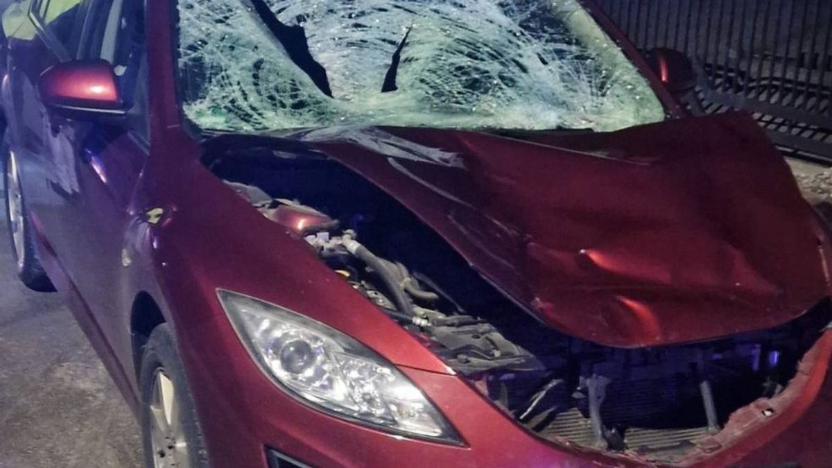 Dramatyczny wypadek koło Lipska. Samochód wjechał w trzyosobową rodzinę 