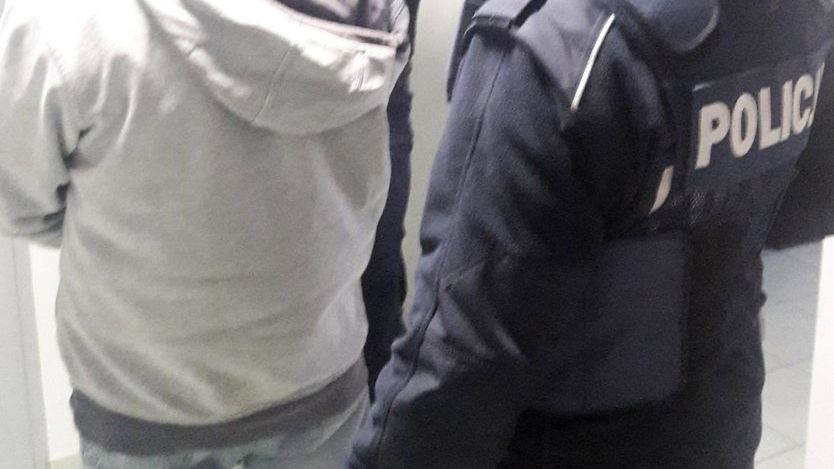 policja