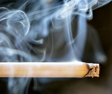 Mazowsze. Akcja Straży Granicznej. Zlikwidowano fabrykę nielegalnych papierosów