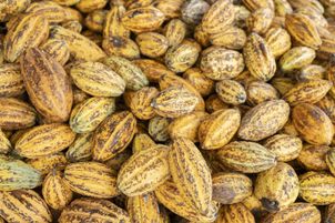 Częste infekcje, problemy z układem kostnym i choroby skóry? Być może to niedobór miedzi