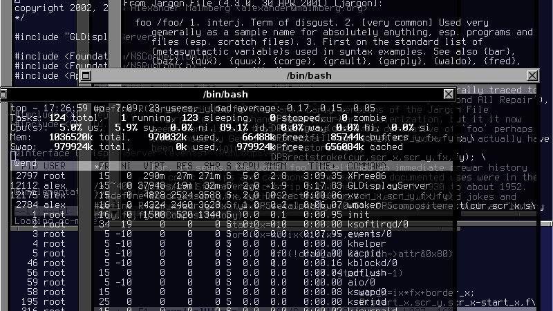 Google znalazło punkt G... u geeków i programistów 1