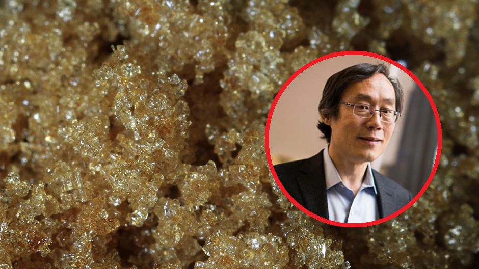 Dlaczego warto ograniczyć cukier w diecie?