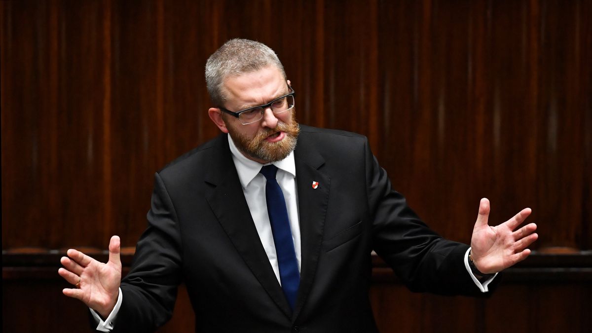 Grzegorz BraunRadek Pietruszka9, 9., Dziewi�ta , IX , kadencja, kadencji , Obrady , Polityka, posiedzenie, pos�owie, sejm