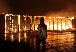 Ogień sieje spustoszenie w Los Angeles. Rośnie liczba ewakuowanych