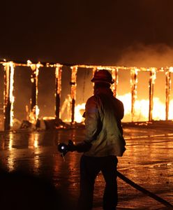 Ogień sieje spustoszenie w Los Angeles. Rośnie liczba ewakuowanych