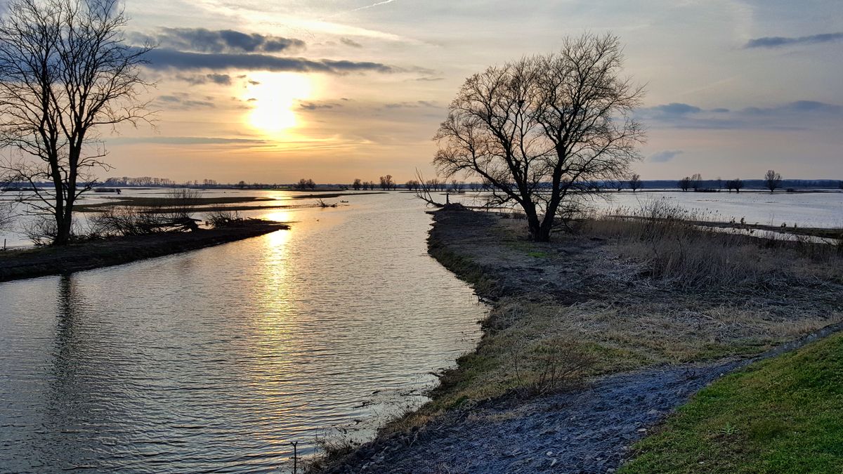 Park Narodowy "Ujście Warty" został założony w 2001 r.