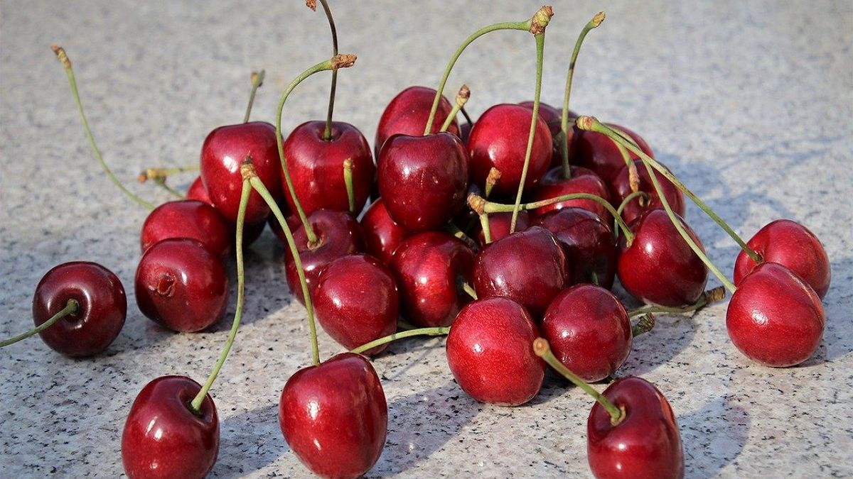 Pokazała cenę czereśni we Włoszech. Ludzie osłupieli. "Jak za darmo"